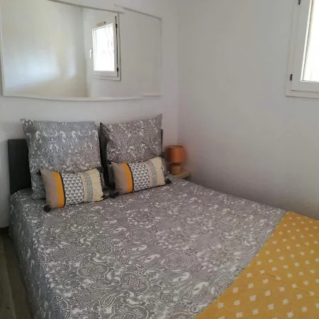 Steddy Les Coralines *